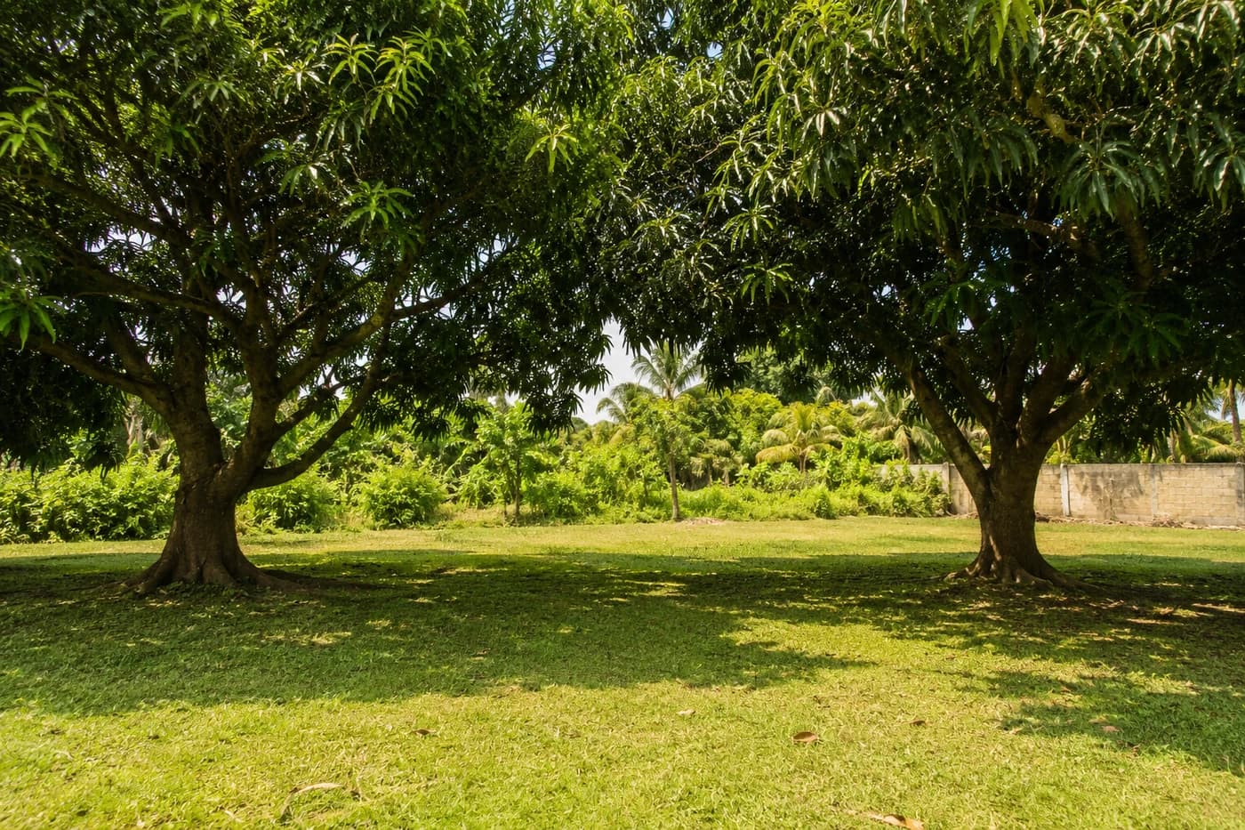 Photographie du terrain Résidentiel à Akébé